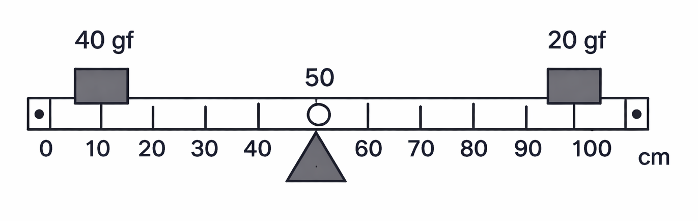 Fig. 1.32